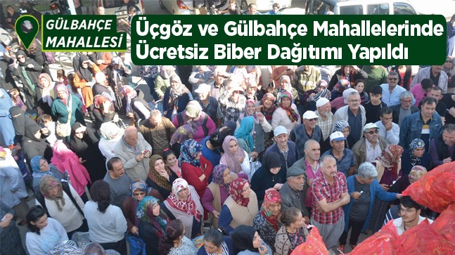 Ücretsiz Biber Dağıtımları Üçgöz ve Gülbahçe Mahalleleri İle Devam Etti