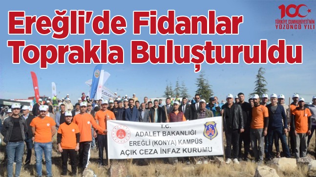 Milli Ağaçlandırma Gününde Fidanlar Toprakla Buluştu