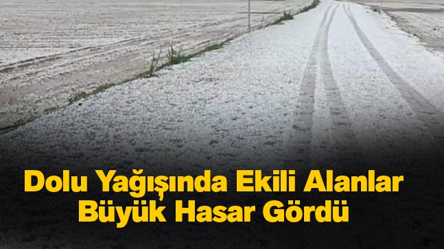 Ceviz Büyüklüğünde Dolu Yağdı. Ekili Alanlarda Büyük Hasar Var