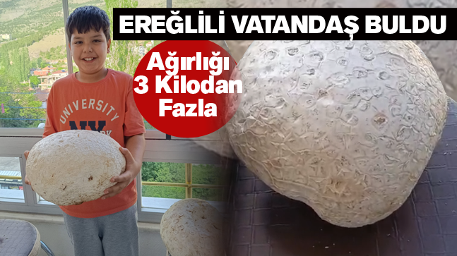 Mantar Toplamaya Gitti, Ağırlığı 3 Kilodan Fazla Mantar Buldu