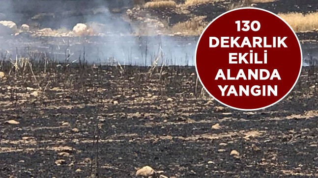 Buğday Ekili Alanda Çıkan Yangında 50 Dekar Hububat ve Sulama Sistemi Yandı