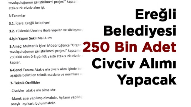 Ereğli Belediyesi Nisan Ayında 250 Bin Adet Civciv Dağıtacak