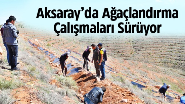 Aksaray, Ağaçlandırma Konusunda Türkiye’ye Örnek Olacak