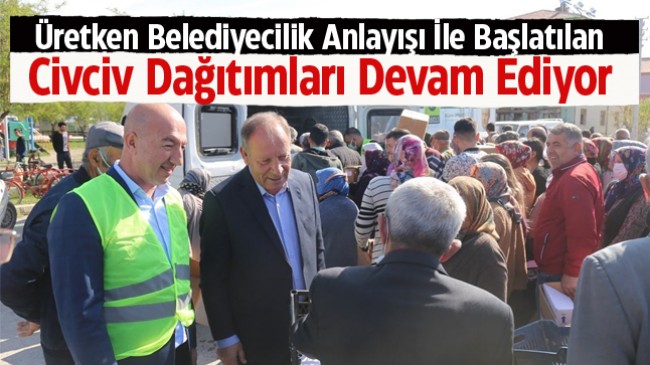 Ereğli Belediytesi Civciv Dağıtımlarını Cahı Mahallesinde Sürdürdü