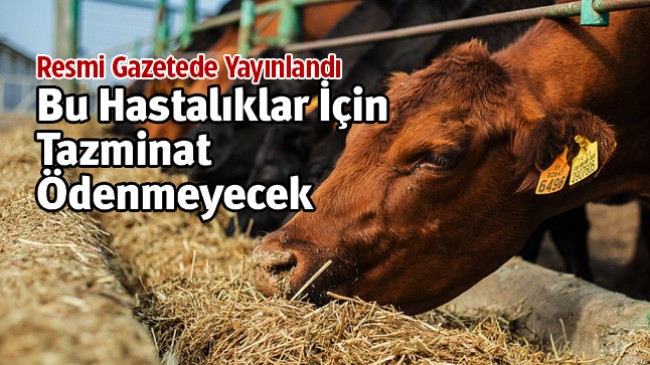 Hayvan Hastalıkları Tazminatlarında Güncelleme Yapıldı