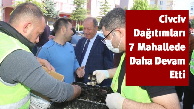 7 Mahallede 25 Bin Civciv Daha Dağıtıldı