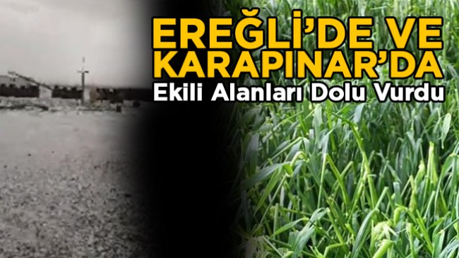 Ereğli ve Karapınar’da Dolu Yağışı Ekili Alanlarda Hasara Neden Oldu