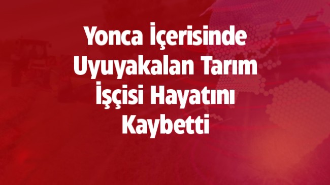 Yonca İçerisinde Uyuyakalan İşçi, Traktörün Altında Can Verdi