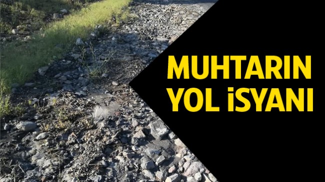 Muhtar İsyan Etti: “Büyükşehir Belediyesine Defalarca Bildirdik, İlgilenmiyorlar “