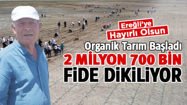 Ereğli Belediyesi Organik Tarım Çalışmasına Başladı. Milyonlarca Fide Üretime Kazandırılıyor