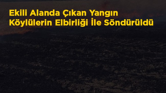 Karapınar Akören Mahallesinde Ekili Alanda Yangın Çıktı