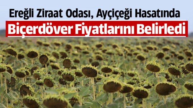 Ayçiçeği Hasat Sezonu Yaklaştı. Ereğli Ziraat Odası Biçim Fiyatlarını Belirledi