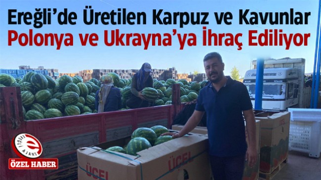 Tarımsal Ürün Yelpazesini Genişleten Ereğli’de Üretilen Kavun ve Karpuzlar Dünyaya İhraç Ediliyor