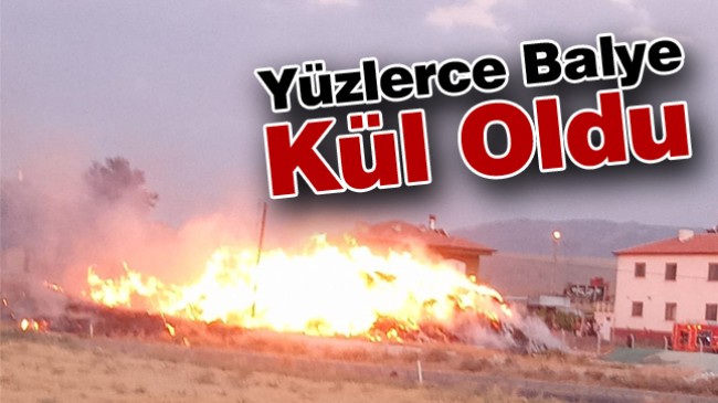 Balye Yangınında Yüzlerce Balye Kül Oldu