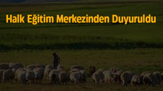 Emirgazi İlçesinde Sürü Yönetimi Elemanı Kursu Açılacak