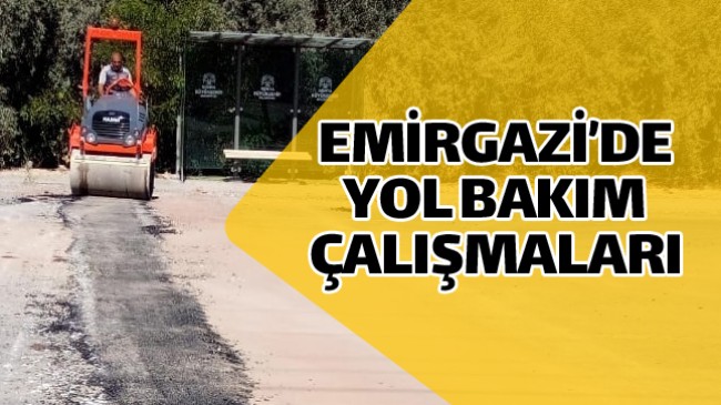 Doğalgaz Hattı Geçen Yollarda Tamir Çalışması Başladı