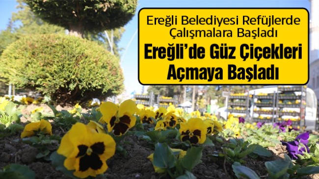 Ereğli Belediyesi Park, Bahçe ve Refüjlerdeki Çalışmalarını Sürdürüyor