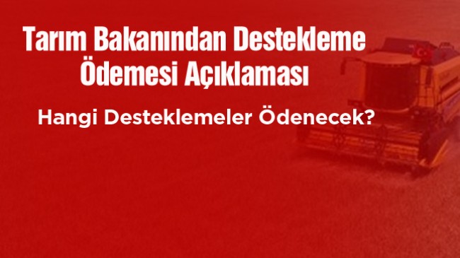 Birçok Desteklemede Ödemeler Başladı Hangi Desteklemeler Ne Zaman Yatacak? İşte Detaylar…