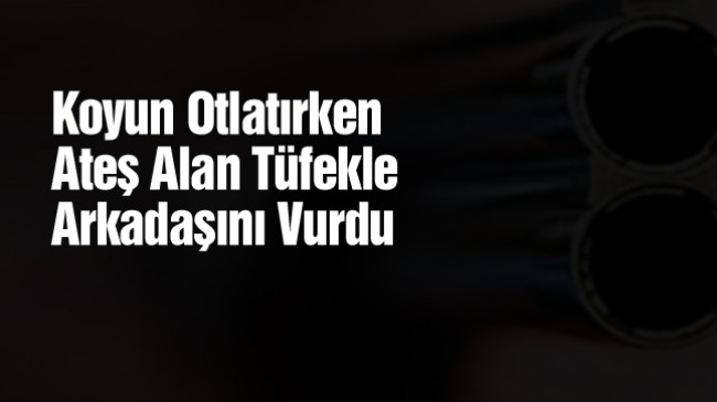 Kurtlara Ateş Ettikten Sonra Tüfeği Verdiği Çoban Arkadaşı Tarafından Vuruldu