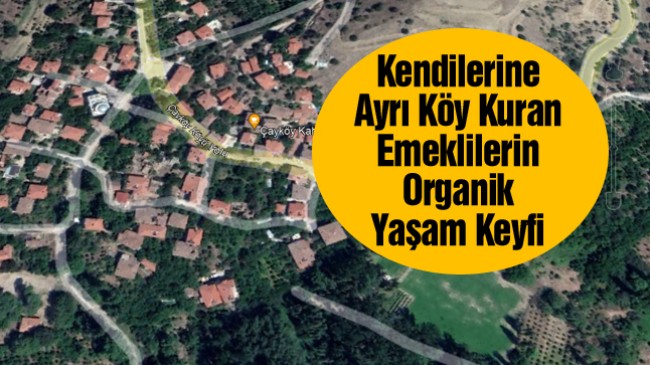 Kurdukları Yapı Kooperatifi İle Ayrı Bir Köy Oluşturan Emekliler, Organik Hayattan Memnun