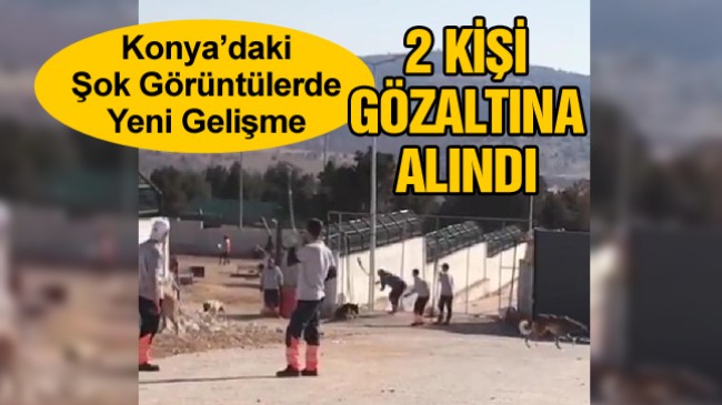 Hayvan Barınağında Bir Köpeğin Kürekle Öldürülmesi Görüntüsü Tepki Çekmişti