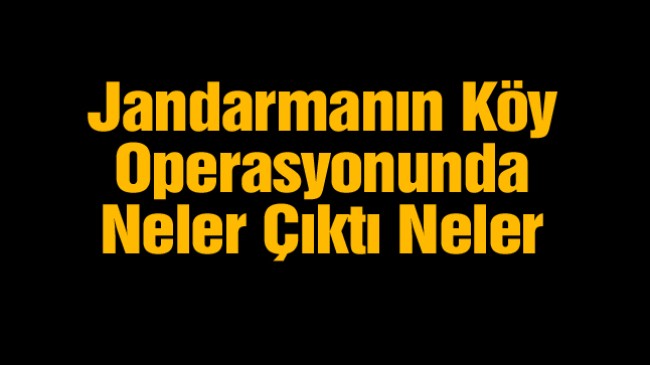 Jandarma’nın Silah Operasyonunda19 Kişi Gözaltına Alındı