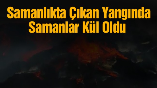 Samanlıkta Çıkan Yangında 20 Ton Saman Yanarak Kül Oldu