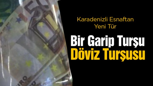 “Turşusunu Kur” Deyimi Döviz İçin Gerçek Oldu