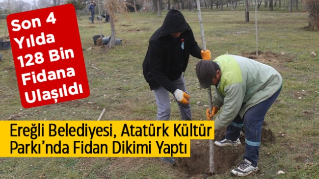 Ereğli Belediyesi 4 Yılda 128 Bin Fidana Ulaştı