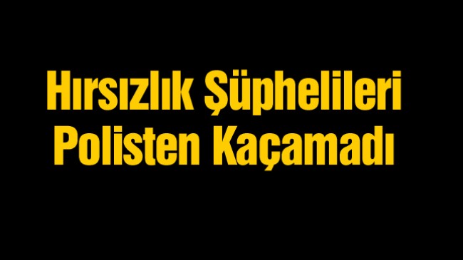 Ereğli’de Hırsızlık Olaylarında 1 Kişi Tutuklandı