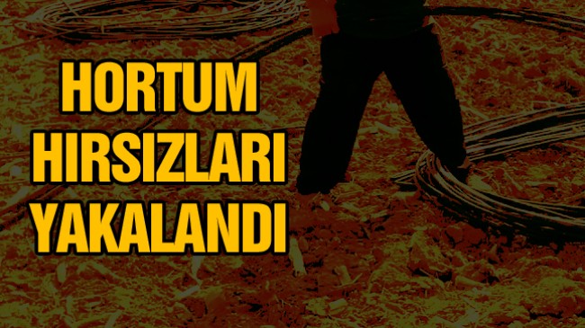 Tarlalara Dadanan Damlama Hortumu Hırsızları Yakalandı