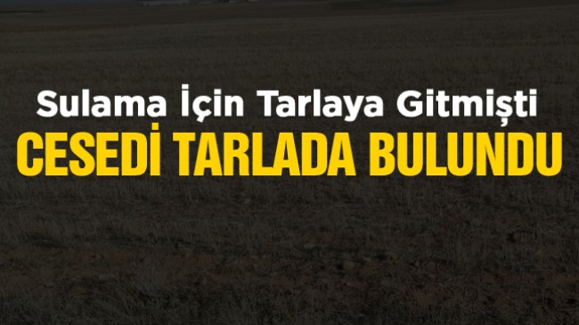 60 Yaşındaki Çiftçi Tarlasında Ölü Bulundu