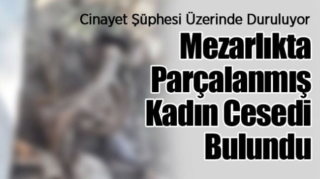 Ereğli’de Bir Mezarlıkta Kadın Cesedi Bulundu