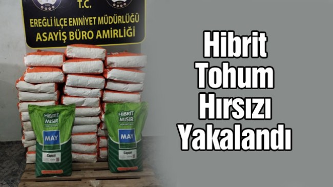 Mısır Tohumu Çalan Zanlı Tutuklandı