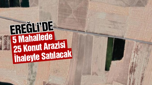 Ereğli’de Mülkiyeti Hazineye Ait Arsalar İhale İle Satışa Çıkacak