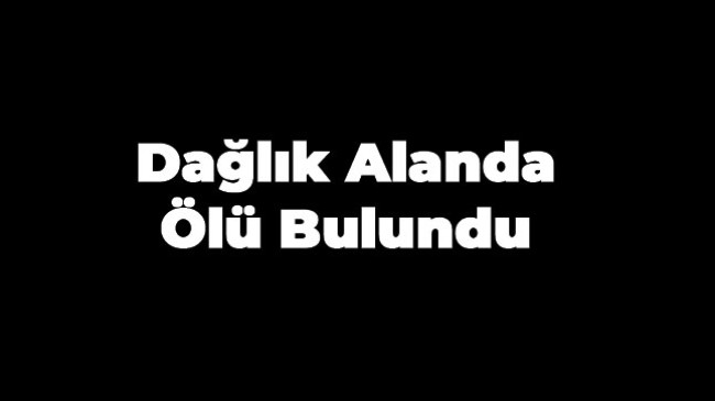 Ormanlık Alanda Başından Vurulmuş Halde Bulundu