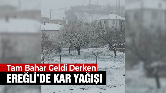 Ereğli’de Mart Kapıdan Baktırdı