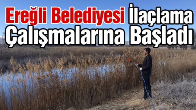 Durgun Su Alanlarında İlaçlama Çalışmaları Başladı