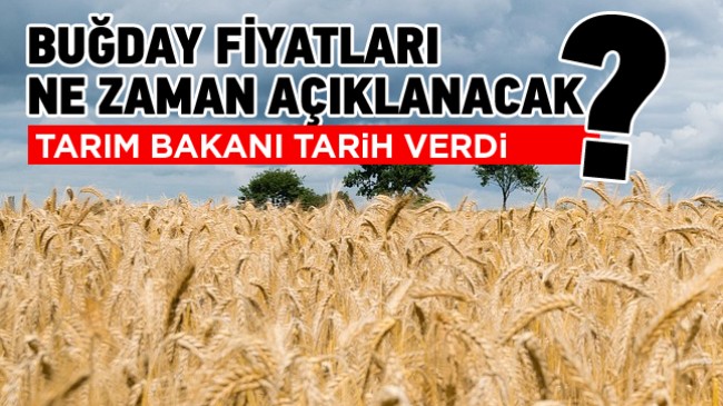 Tarım ve Orman Bakanı Vahit Kirişçi, Buğday Alım Fiyatları Hakkında Konuştu