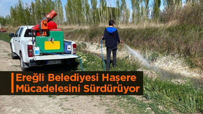 Ereğli Belediyesi Haşere Mücadelesini Sürdürüyor