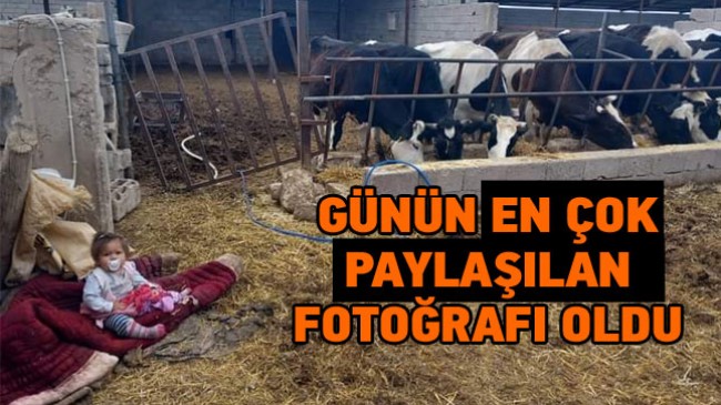 Ereğli Bölgesinde Günün En Çok Paylaşılan Fotoğraflarından Oldu