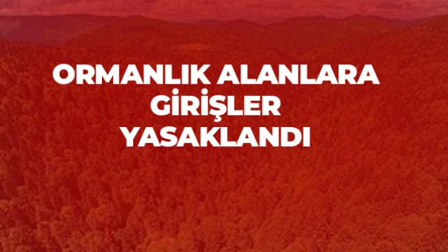 Aydın’da Ormanlık Alanlarla İlgili Valilik Kararı