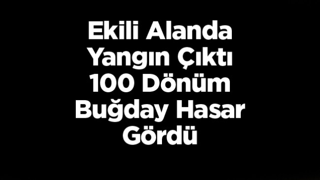 Edirne’de Buğday Ekili Alanda Yangın Çıktı