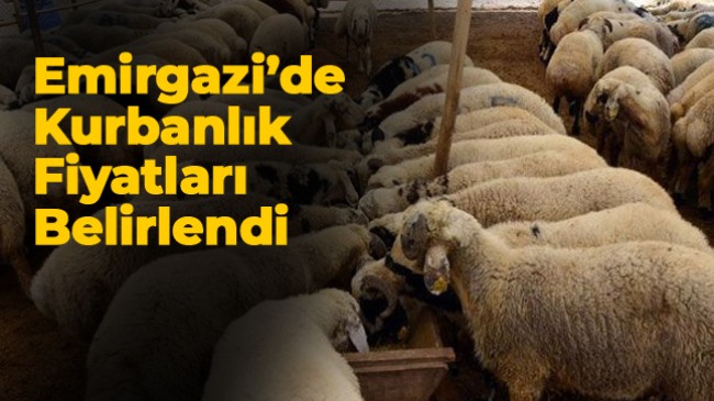 Emirgazi İlçesinde Kurbanlık Fiyatları Belirlendi