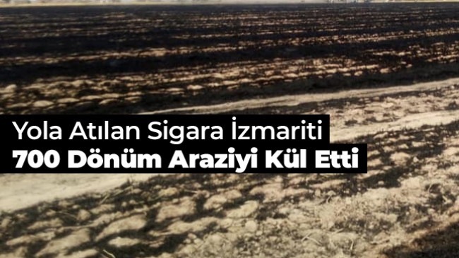 Sigara İzmaritinden Çıkan Yangında 700 Dönüm Buğday Tarlası Küle Döndü