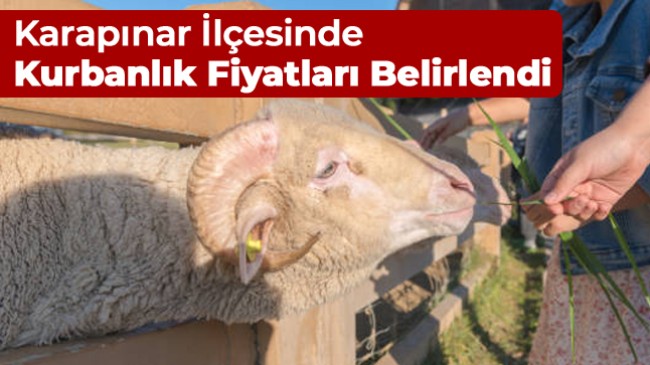 Karapınar İlçesinde Kurbanlık Satış Fiyatları Belirlendi