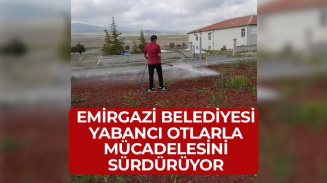 Emirgazi Belediyesi Yabancı Otlara Karşı İlaçlama Çalışmalarını Sürdürüyor