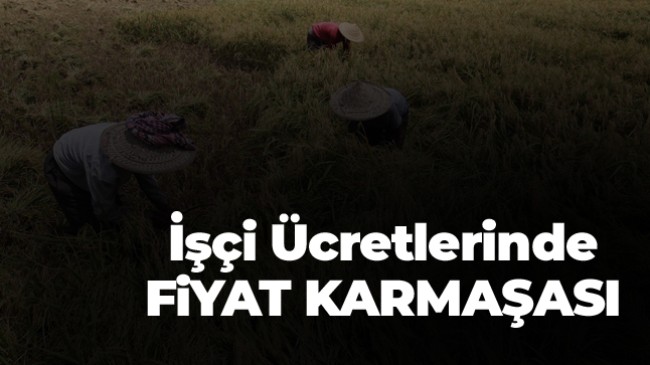 Tarım İşçileri Ücretlerinde Fiyat Karmaşası Sürüyor. Bir Taraf Yüksek Buluyor, Diğer Taraf Normal Buluyor