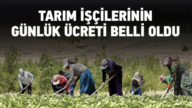 Tarım İşçilerinin 2023 Hasat Sezonu Günlük Ücretleri Belli Oldu