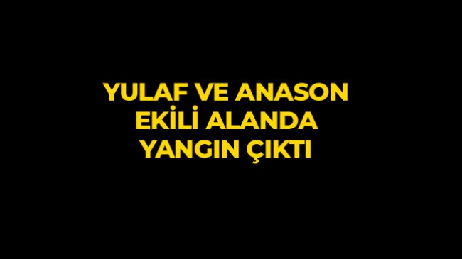 Konya’da Yulaf ve Anason Ekili Alanda Yangın Çıktı